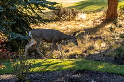 3237 NW Kidd Place, Bend, OR 97703 - Photo 27