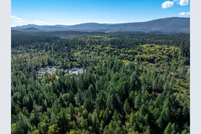 305 Floyd Lane, Cave Junction, OR 97523 - Photo 5