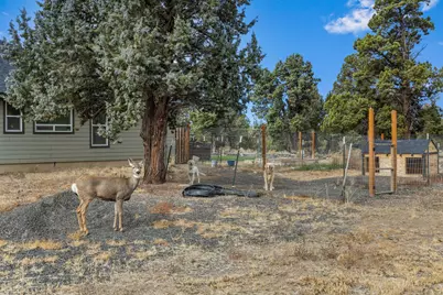 6490 SW Ermine Road, Terrebonne, OR 97760 - Photo 33