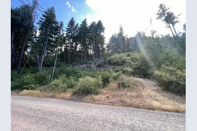Loper Lane, Trail, OR 97541 - Photo 3