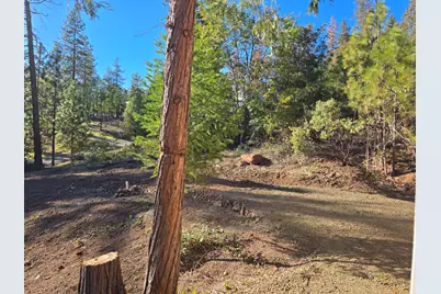 625 Evergreen Drive, Prospect, OR 97536 - Photo 35