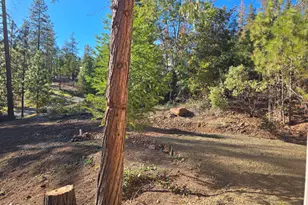 625 Evergreen Dr, Prospect, OR 97536 - Photo 35