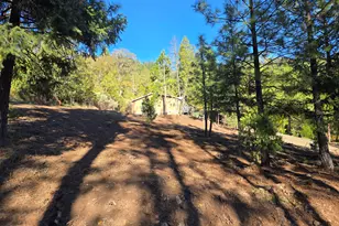 625 Evergreen Dr, Prospect, OR 97536 - Photo 41