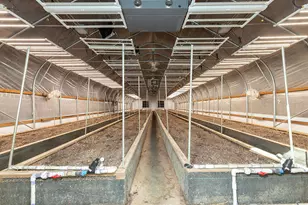 321 N Frontage Rd, Wolf Creek, OR 97497 - Photo 63