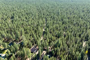 14973 Ponderosa Loop, La Pine, OR 97739 - Photo 39