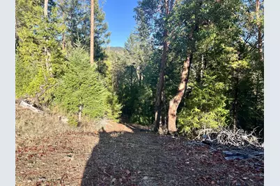 501 Elder Mill Road, Trail, OR 97541 - Photo 9