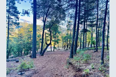 501 Elder Mill Road, Trail, OR 97541 - Photo 3