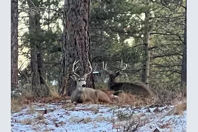 18575 SW Century Drive # 1233/1234, Bend, OR 97702 - Photo 51