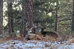 18575 SW Century Dr, Bend, OR 97702 - Photo 51