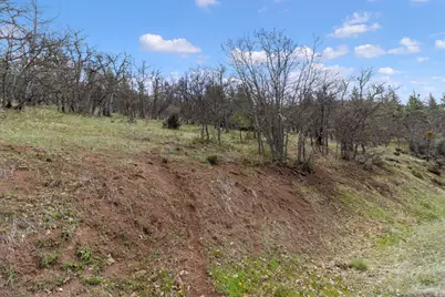 0 Dead Indian Memorial Road #1400, Ashland, OR 97520 - Photo 3