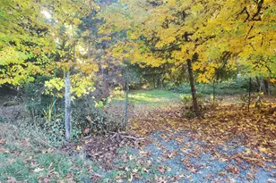 131 Hamilton Heights Ln, Glendale, OR 97442 - Photo 17