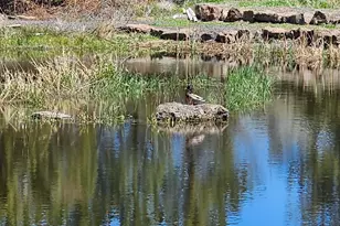 12174 NW 10th St, Terrebonne, OR 97760 - Photo 43