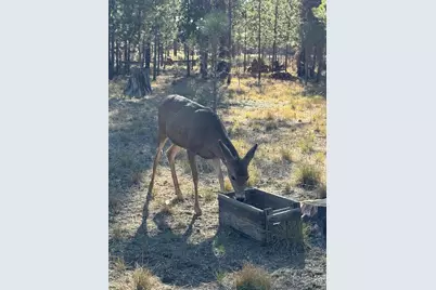 152038 Conestoga Road, La Pine, OR 97739 - Photo 47