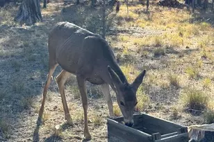 152038 Conestoga Rd, La Pine, OR 97739 - Photo 47