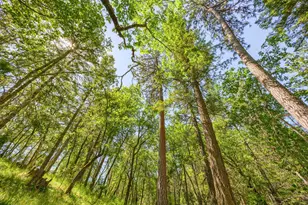1988 Old Siskiyou Hwy, Ashland, OR 97520 - Photo 51