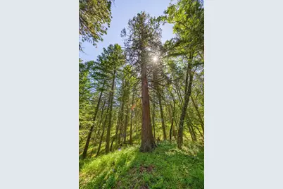 1988 Old Siskiyou Highway, Ashland, OR 97520 - Photo 49