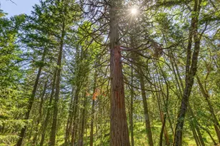 1988 Old Siskiyou Hwy, Ashland, OR 97520 - Photo 49