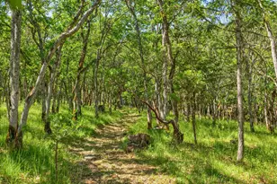 1988 Old Siskiyou Hwy, Ashland, OR 97520 - Photo 47