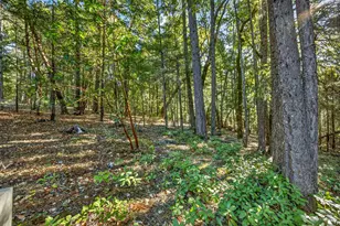 7900 Redwood Hwy, Wilderville, OR 97543 - Photo 47