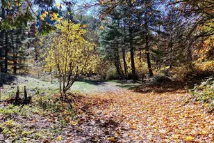 52 Dodes Creek Rd, Trail, OR 97541 - Photo 81