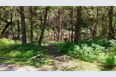 52 Dodes Creek Road, Trail, OR 97541 - Photo 15