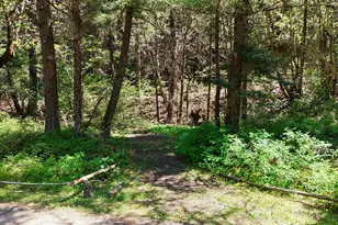 52 Dodes Creek Rd, Trail, OR 97541 - Photo 15
