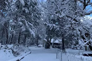 52 Dodes Creek Rd, Trail, OR 97541 - Photo 101
