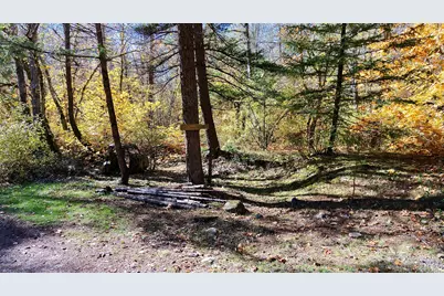 52 Dodes Creek Road, Trail, OR 97541 - Photo 69