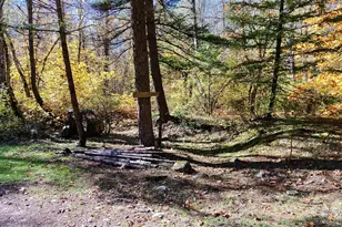 52 Dodes Creek Rd, Trail, OR 97541 - Photo 69