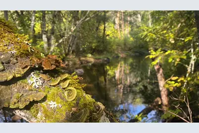 52 Dodes Creek Road, Trail, OR 97541 - Photo 77