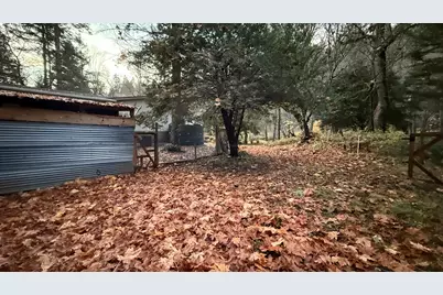 52 Dodes Creek Road, Trail, OR 97541 - Photo 19