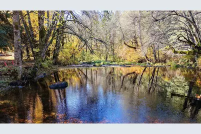 52 Dodes Creek Road, Trail, OR 97541 - Photo 59