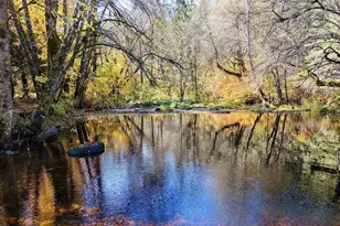 52 Dodes Creek Rd, Trail, OR 97541 - Photo 59
