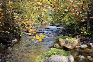 52 Dodes Creek Rd, Trail, OR 97541 - Photo 63