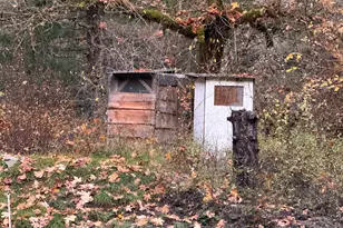 52 Dodes Creek Rd, Trail, OR 97541 - Photo 13