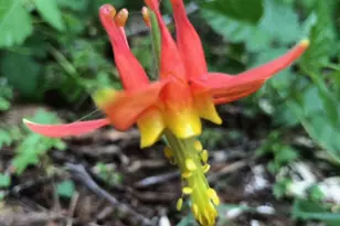 52 Dodes Creek Rd, Trail, OR 97541 - Photo 95