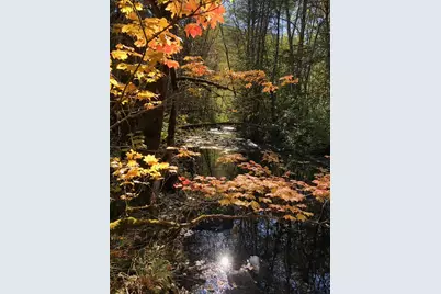 52 Dodes Creek Road, Trail, OR 97541 - Photo 79