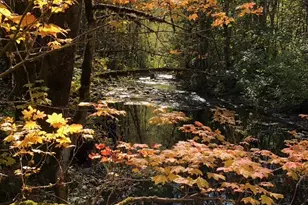 52 Dodes Creek Rd, Trail, OR 97541 - Photo 79