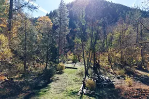 52 Dodes Creek Rd, Trail, OR 97541 - Photo 71