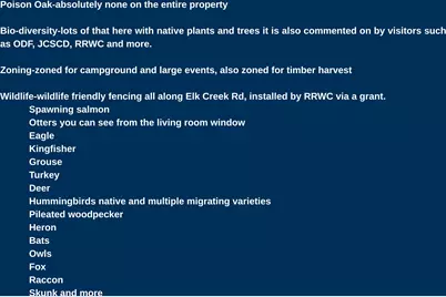 52 Dodes Creek Road, Trail, OR 97541 - Photo 5