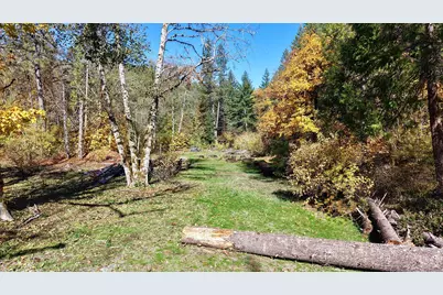 52 Dodes Creek Road, Trail, OR 97541 - Photo 75