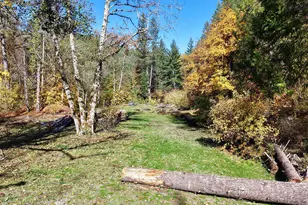 52 Dodes Creek Rd, Trail, OR 97541 - Photo 75