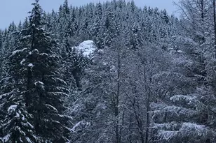 52 Dodes Creek Rd, Trail, OR 97541 - Photo 85