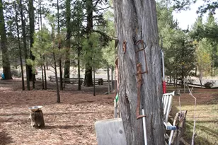 61207 Mokas Ct, Bly, OR 97622 - Photo 39