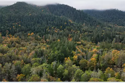 427 Murphy Gulch Road, Rogue River, OR 97537 - Photo 33