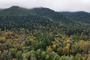 427 Murphy Gulch Rd, Rogue River, OR 97537 - Photo 33