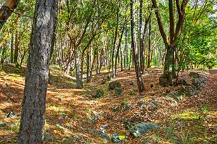 17252 N Applegate Rd, Grants Pass, OR 97527 - Photo 55