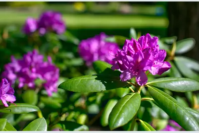 18575 SW Century Drive # 921, Bend, OR 97702 - Photo 19