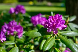 18575 SW Century Dr, Bend, OR 97702 - Photo 19