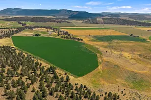 35429 McCartie Ln, Bonanza, OR 97623 - Photo 45